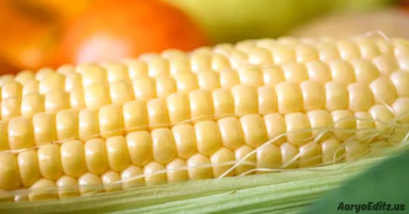 CornMagazine com | Daily Updates on News and Entertainment cornmagazine com