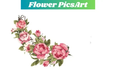 flower picsart