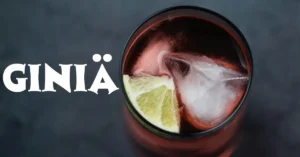 giniä