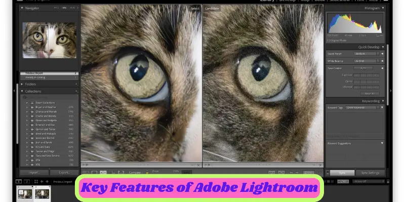 key features of adobe lightroom key features of adobe lightroom