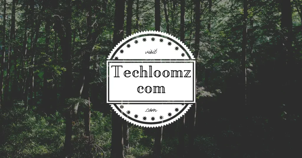 techloomz com