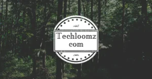 techloomz com