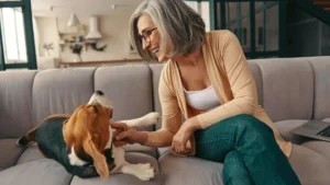unlocking retirement savings with beagle financial services