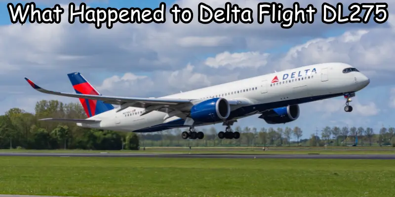 what happened to delta flight dl275 what happened to delta flight dl275