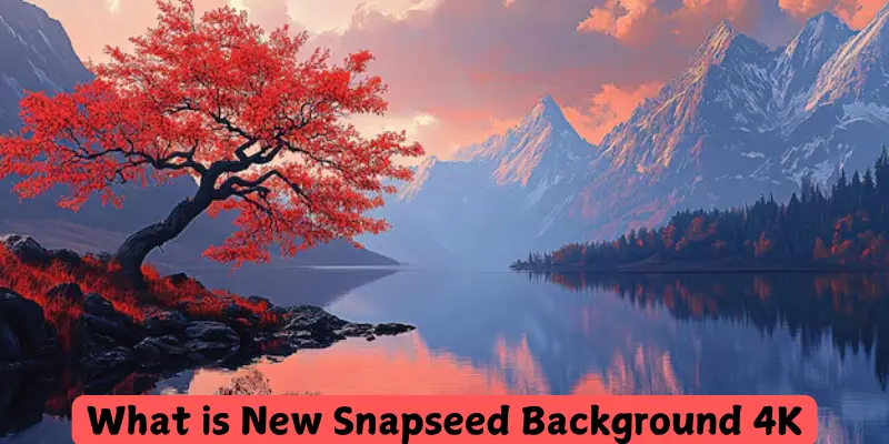 what is new snapseed background 4k